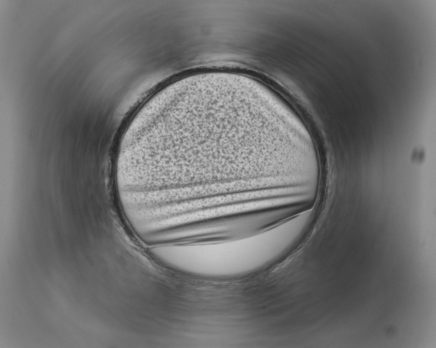 X0000113981277200910231700