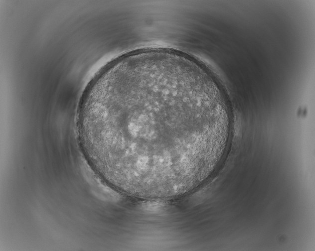 X0000113981278200910231700