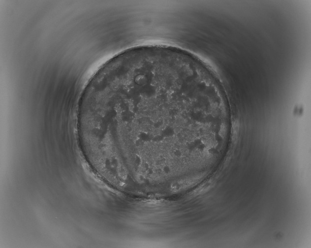 X0000113981279200910231700