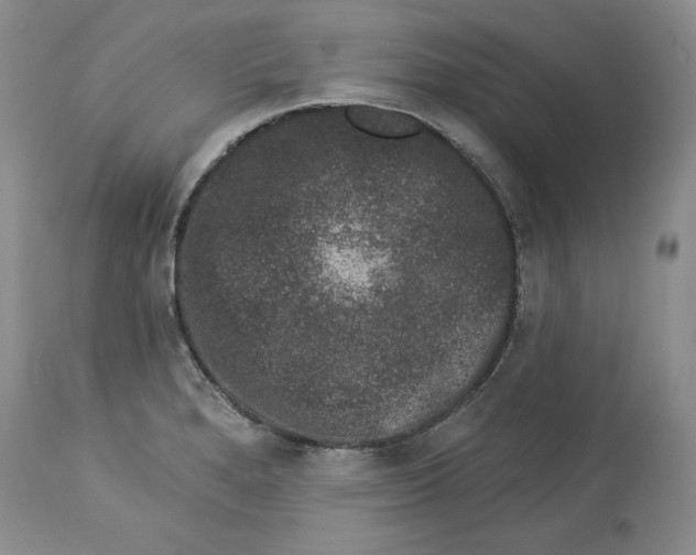 X0000113981280200910231700