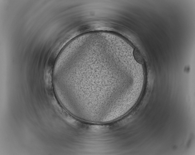 X0000113981281200910231700