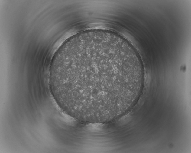 X0000113981282200910231700