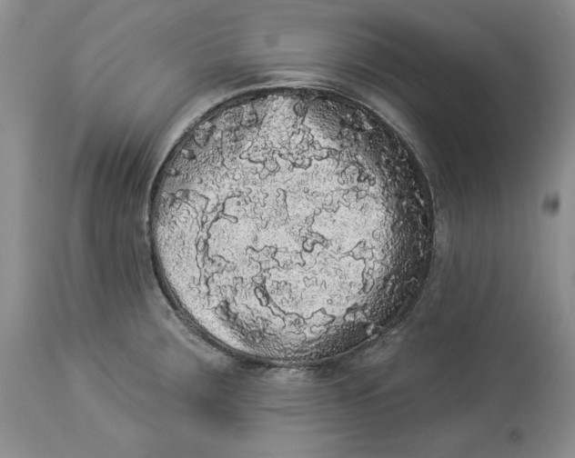 X0000113981283200910231700