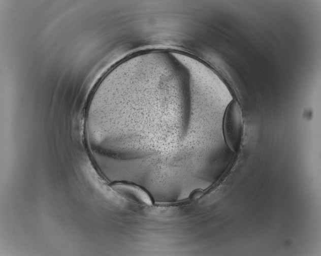 X0000113981284200910231700