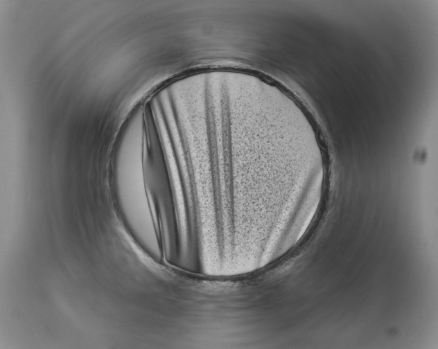 X0000113981285200910231700