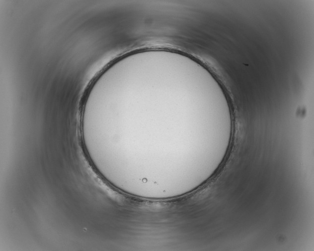 X0000113981286200910231700