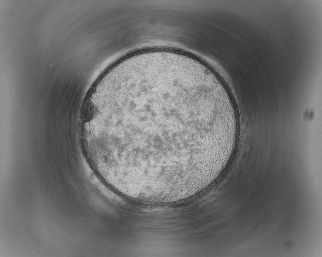 X0000113981287200910231700