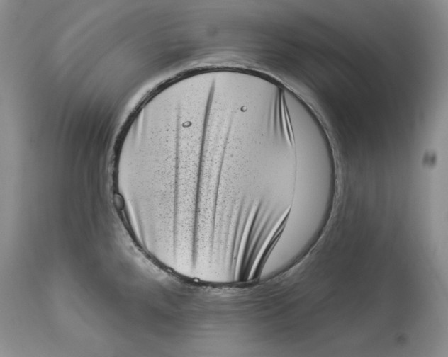 X0000113981288200910231700