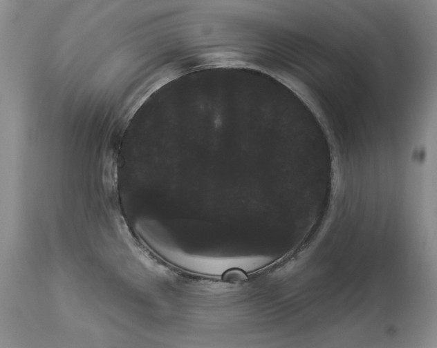 X0000113981289200910231700