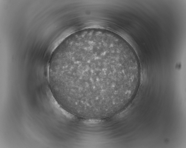 X0000113981290200910231700