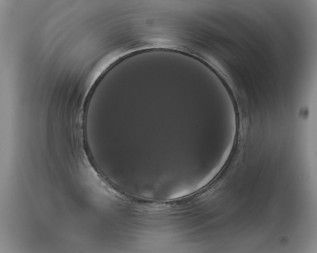 X0000113981291200910231700