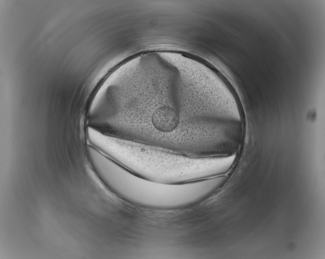 X0000113981293200910231700