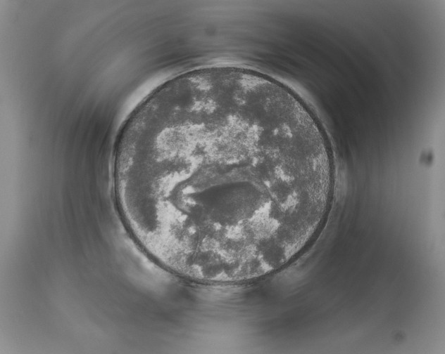 X0000113981294200910231700