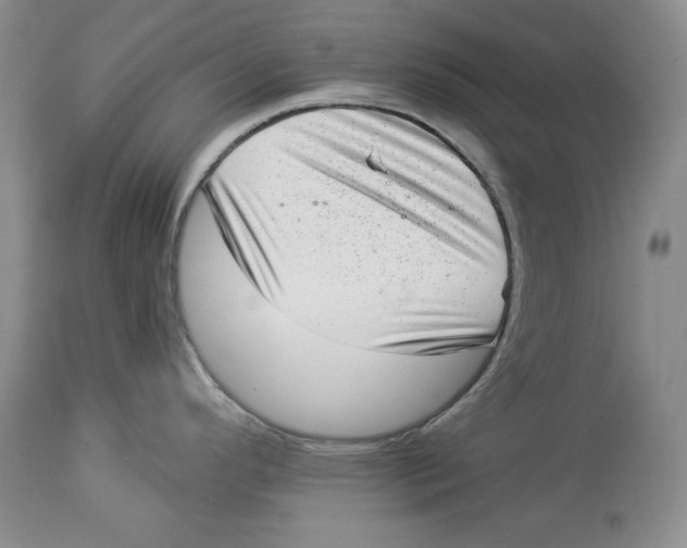 X0000113981296200910231700