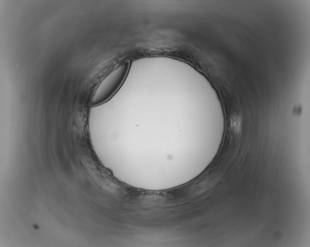 X0000113981300200910231659