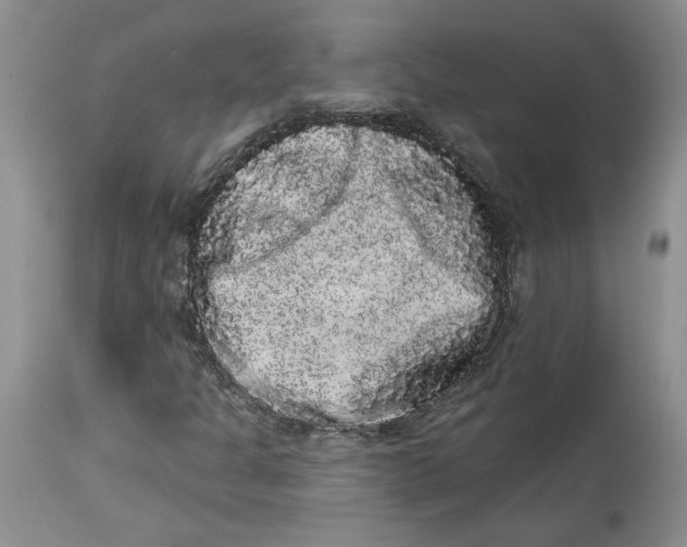 X0000113981301200910231659