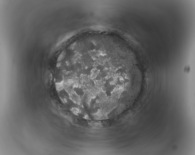 X0000113981302200910231659