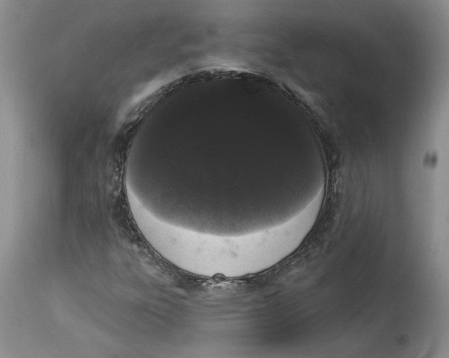 X0000113981303200910231659