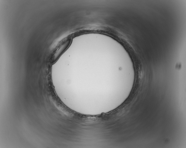 X0000113981304200910231659