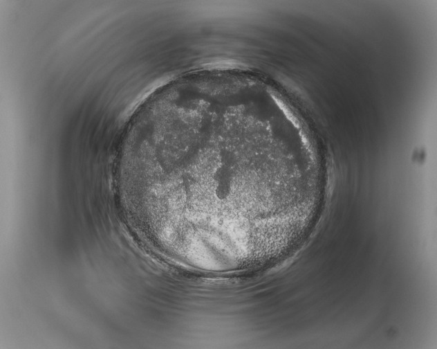 X0000113981305200910231659