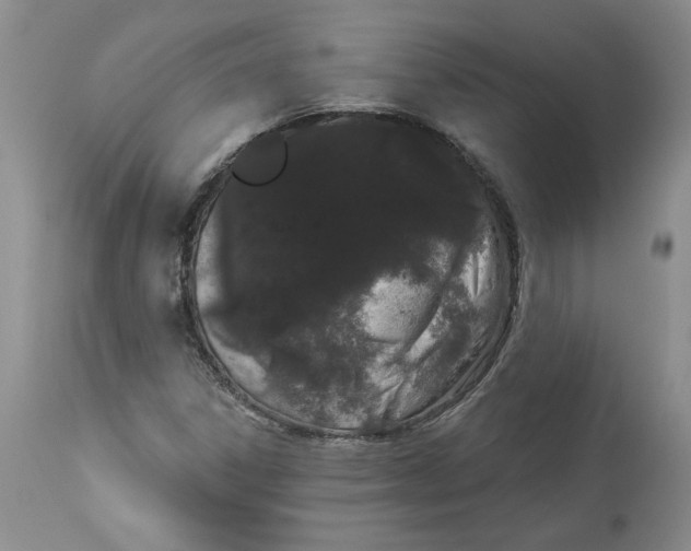 X0000113981306200910231659