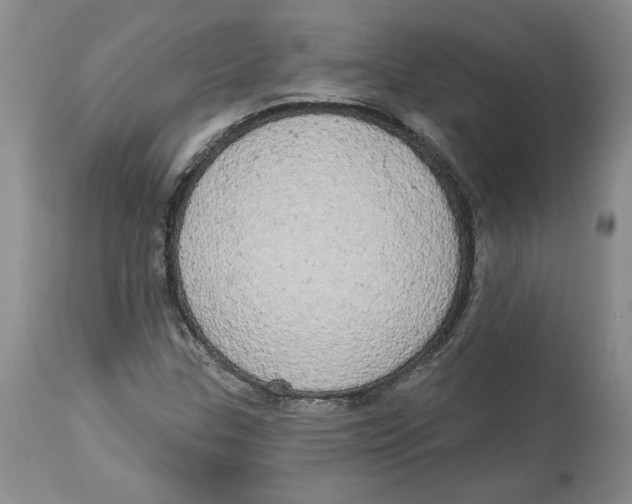 X0000113981307200910231659