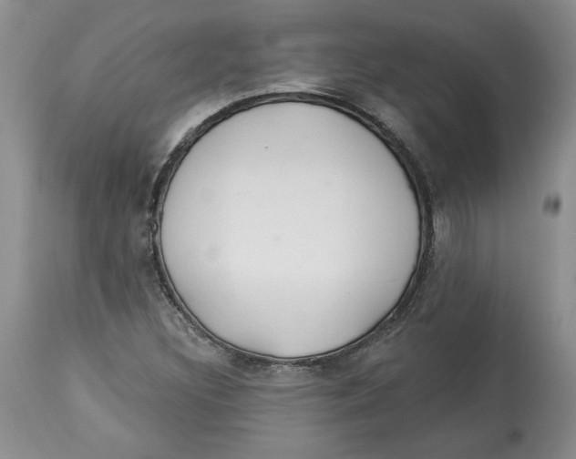 X0000113981308200910231659