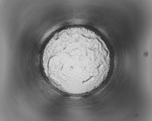 X0000113981309200910231659