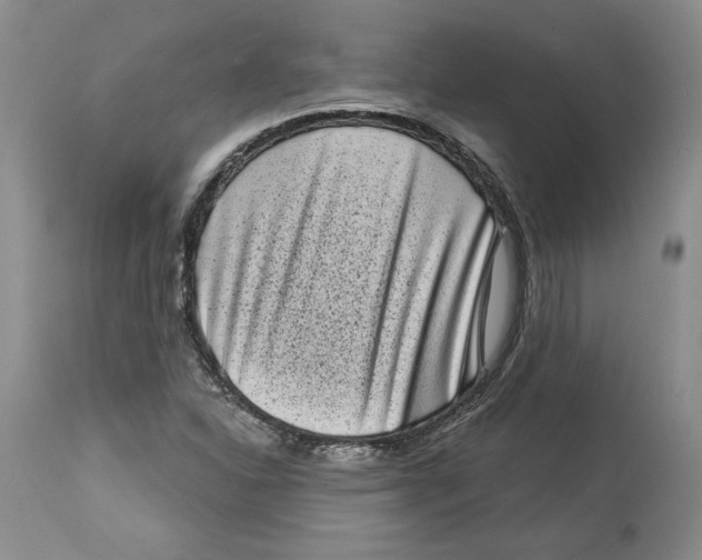 X0000113981310200910231659