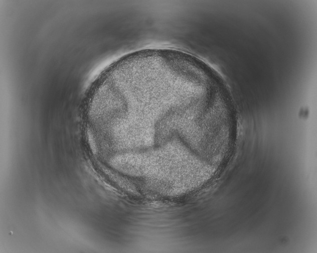 X0000113981311200910231659