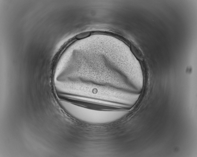 X0000113981312200910231659