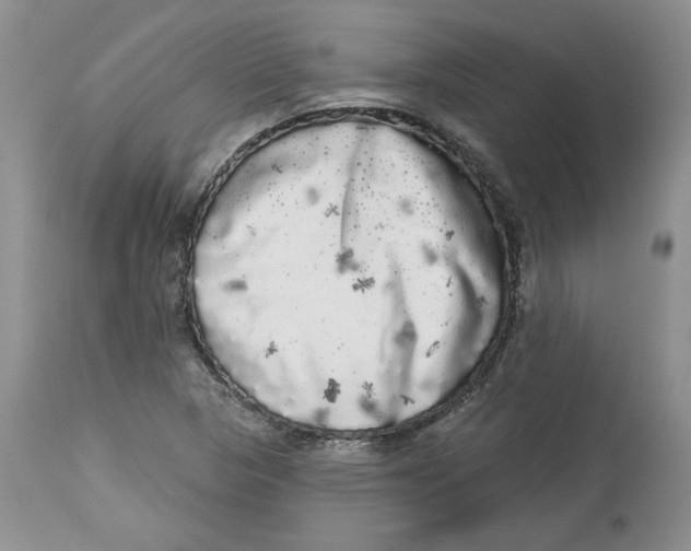 X0000113981313200910231659