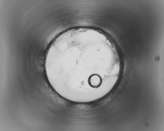 X0000113981314200910231659