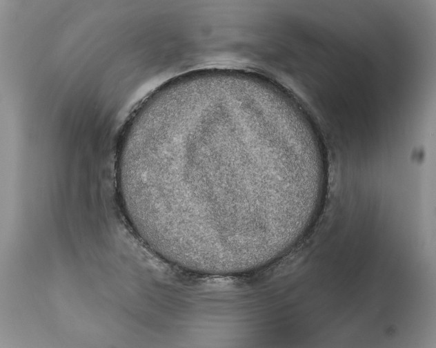 X0000113981315200910231659