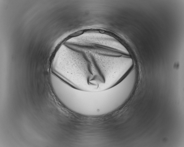 X0000113981316200910231659