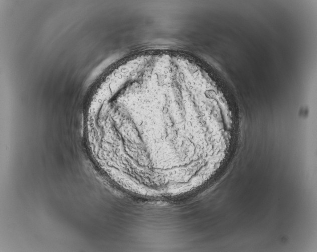 X0000113981317200910231659