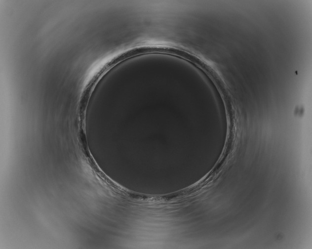 X0000113981319200910231659