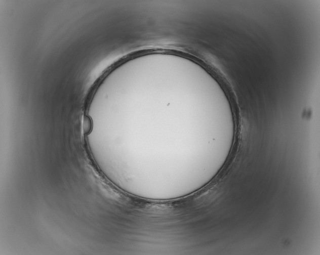 X0000113981320200910231659