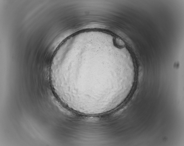 X0000113981321200910231659