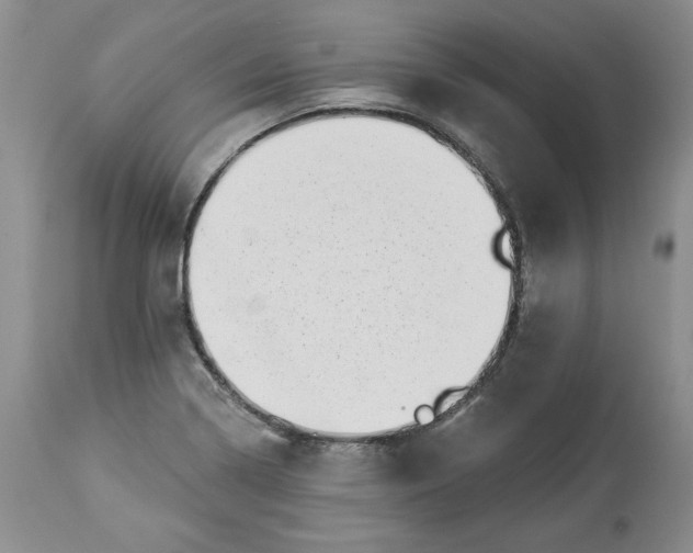 X0000113981322200910231659