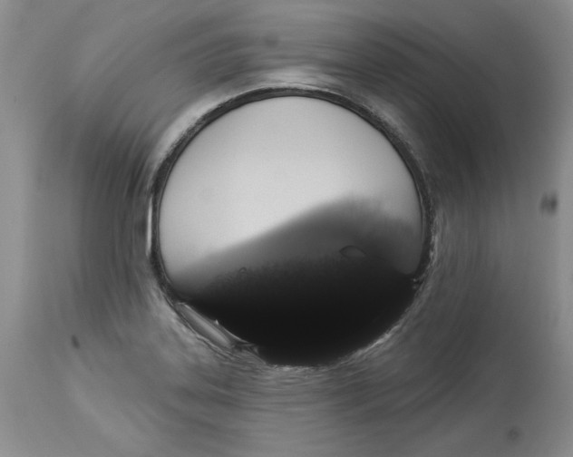 X0000113981323200910231659