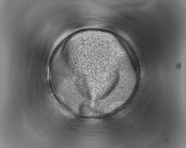 X0000113981324200910231659