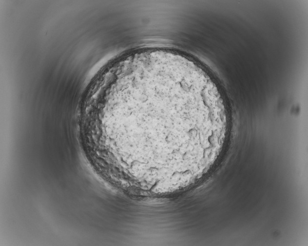 X0000113981325200910231659