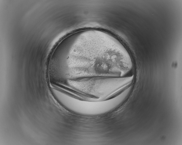 X0000113981326200910231659