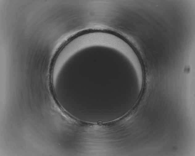 X0000113981327200910231659