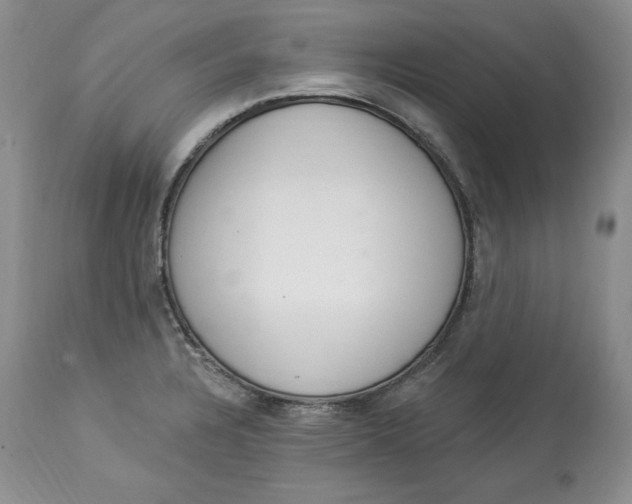 X0000113981328200910231659