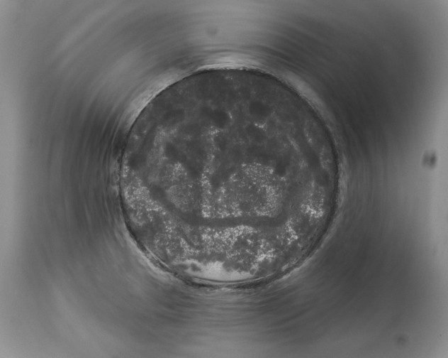 X0000113981329200910231659