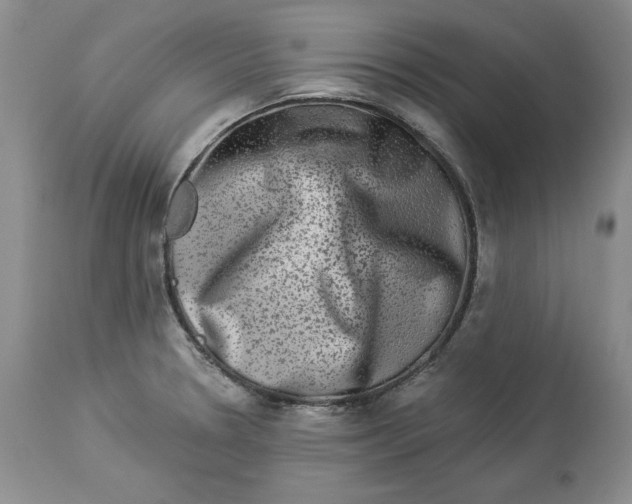 X0000113981330200910231659