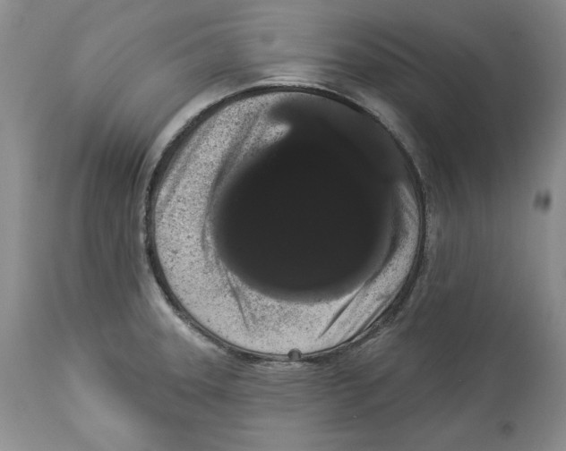 X0000113981331200910231659