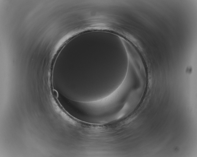 X0000113981334200910231659